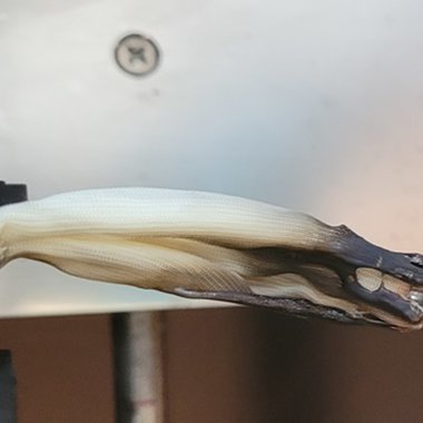 Ein Gestrick aus flammgeschütztem Polyamid nach einer Beflammung. ©Fraunhofer LBF