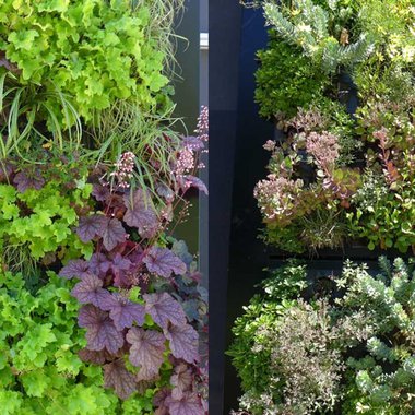 Die Living Wall, ein IGF-Projekt der DITF in Denkendorf kann man am Forschungskubus auf dem Institutsgelände bei Stuttgart bestaunen.