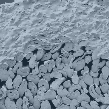 400-fache Vergrößerung eines beschichteten Baumwollgewebes im Querschnitt mit Cellulosepartikeln in der Beschichtungsmatrix.