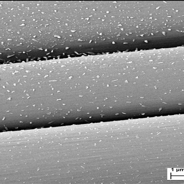 Faseroberfläche nach Präparation mit Monomerenlösung: Deutlich zu erkennen - die "Anker"