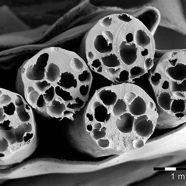 Querschnitt von porösen Fasern unter dem Rasterelektronenmikroskop