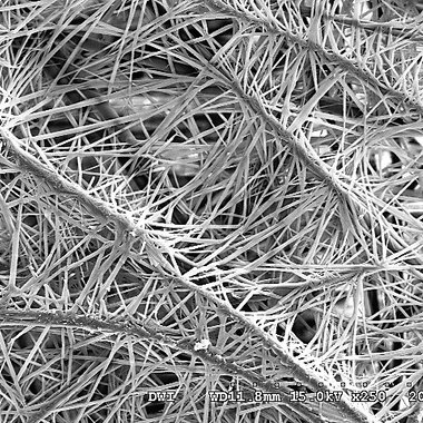 REM-Bild eines Komposits aus PET-Nadelfilz und funktionalen supramolekularen Nanofasern mit schwefelhaltiger Peripherie