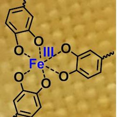 Ausrüstung von Aramid mit supramolekular vernetztem Eisen-Catechol-Gel