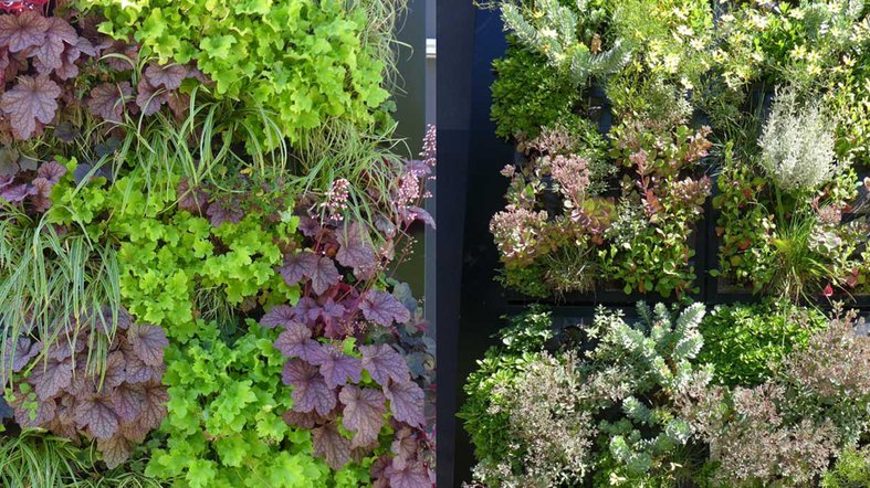 Die Living Wall, ein IGF-Projekt der DITF in Denkendorf kann man am Forschungskubus auf dem Institutsgelände bei Stuttgart bestaunen.